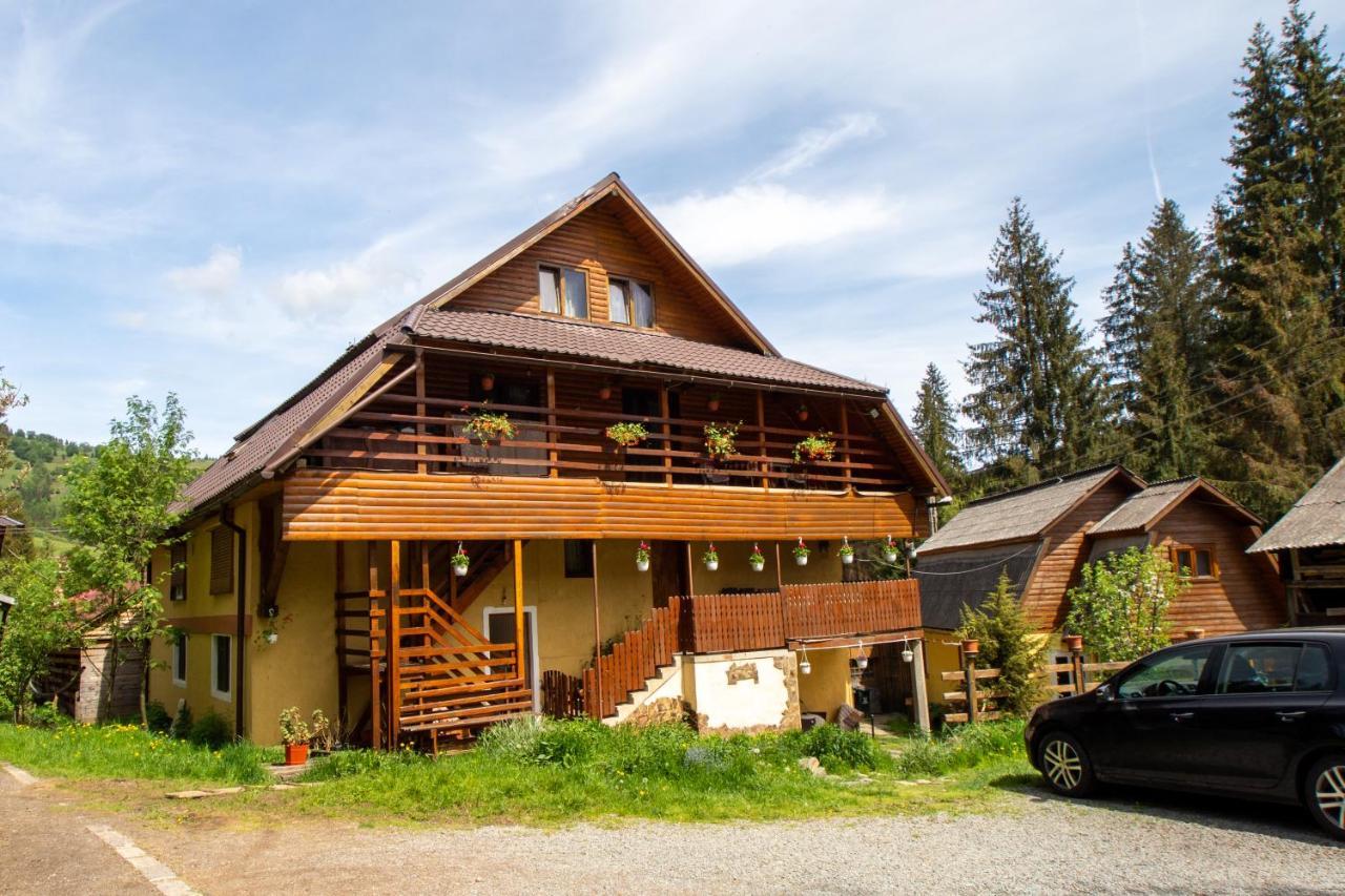Pensiunea Viorica Arieseni Exterior photo